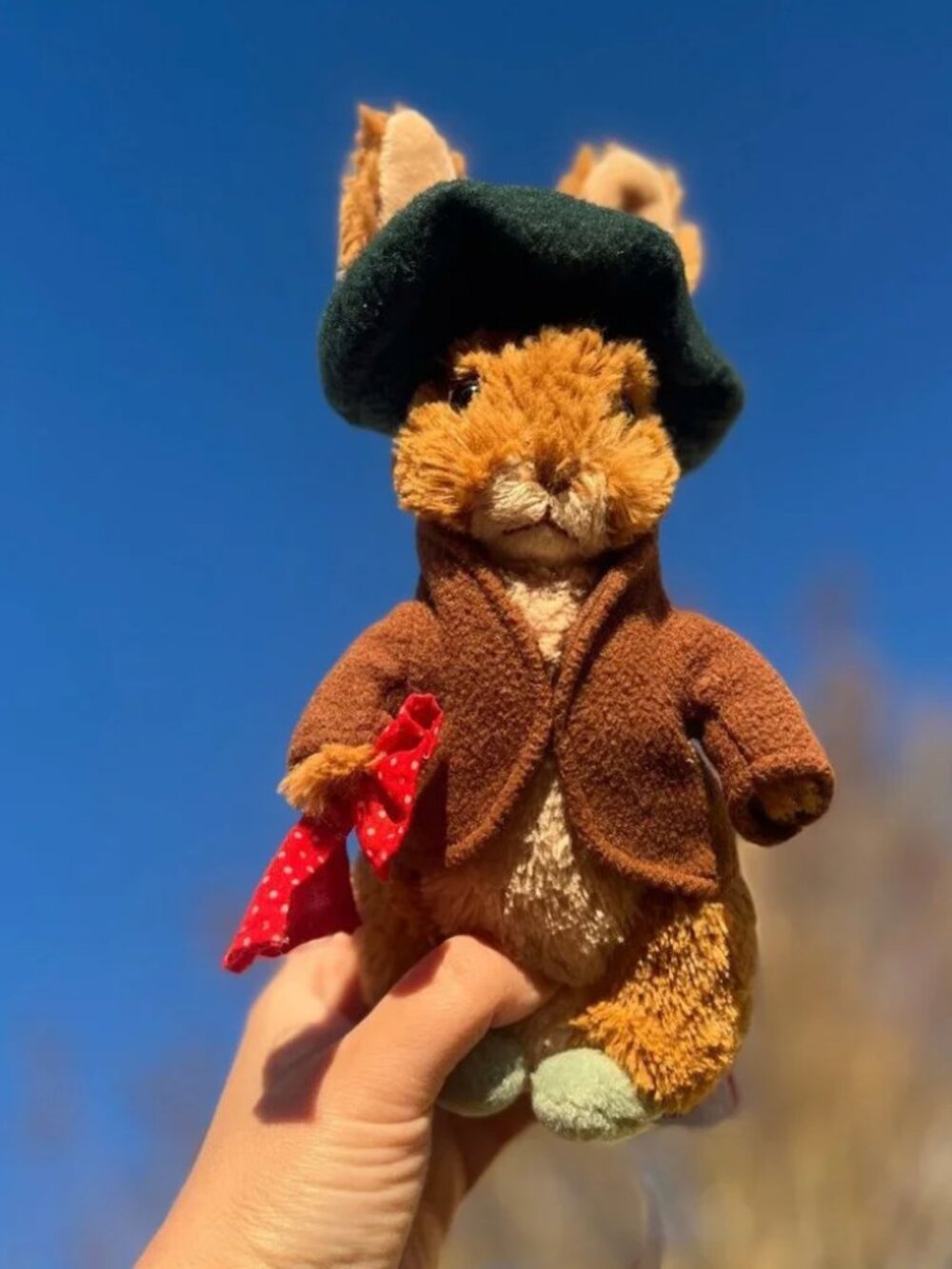 Beatrix Potter Bundle - Picture 3 of 8